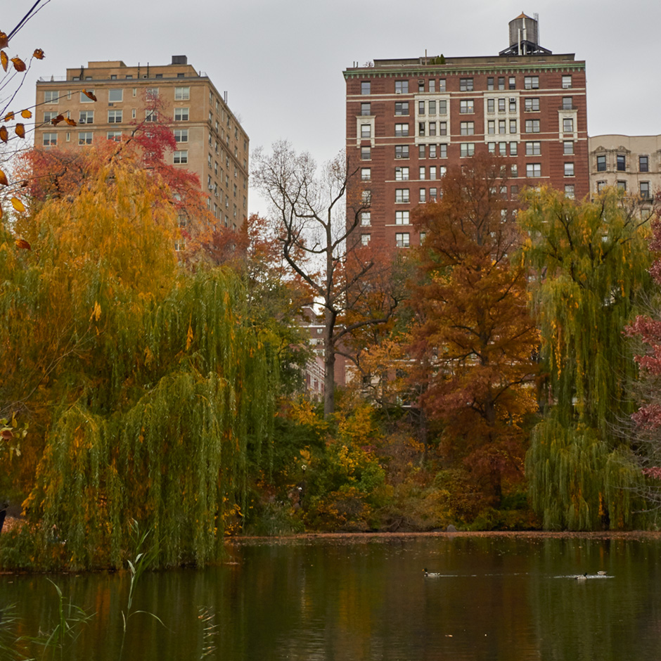 central park new york city