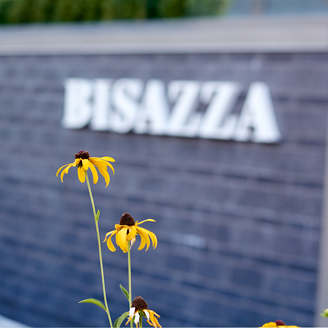 bisazza